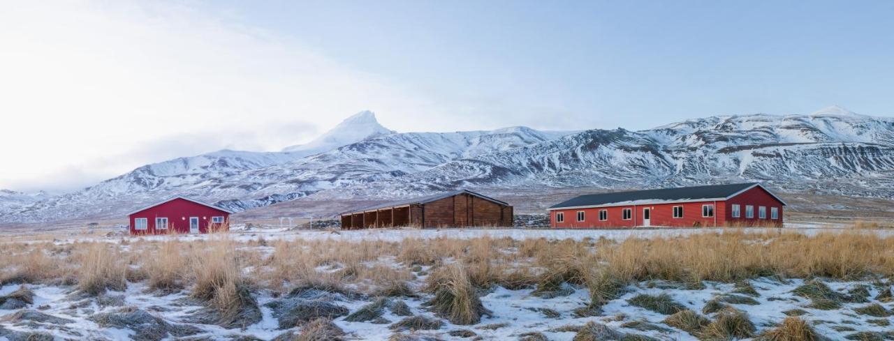 Alfheimar Borgarfjörður eystri